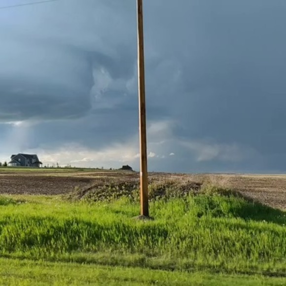 Meet your Posher, Sondra & Dan - Picture 1 of 1